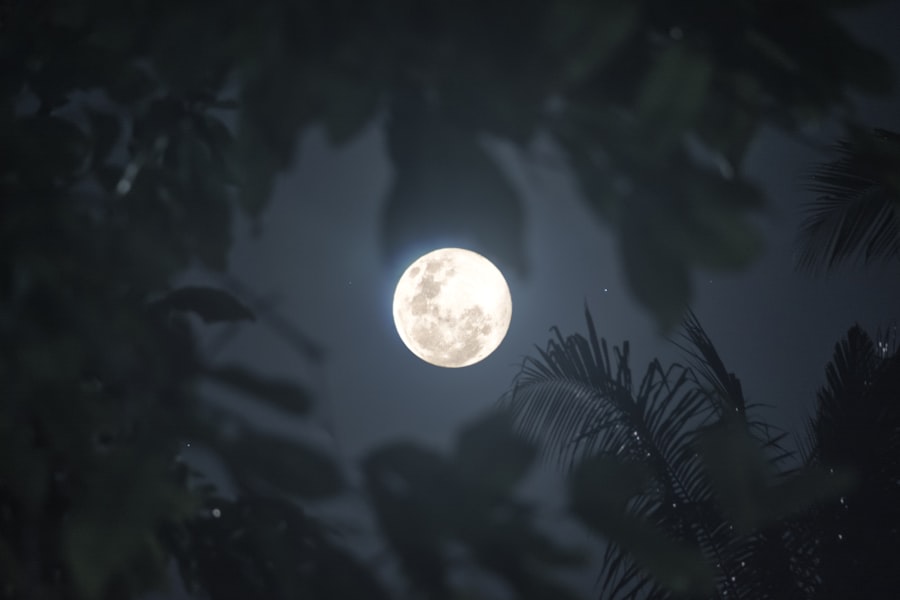 moon defense