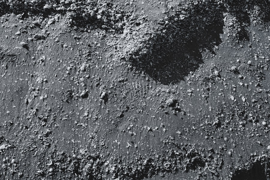 lunar resource extraction