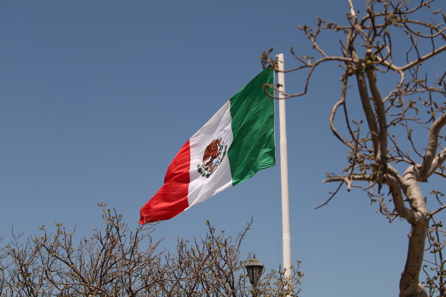 Mexico tariff loophole