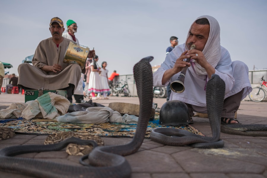 Yemen Crisis