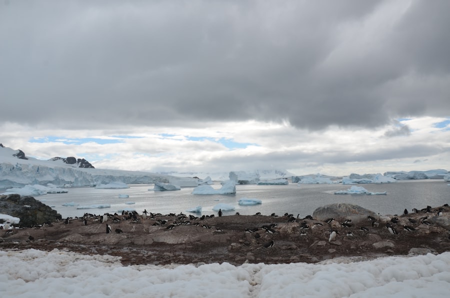 Antarctica resource exploitation