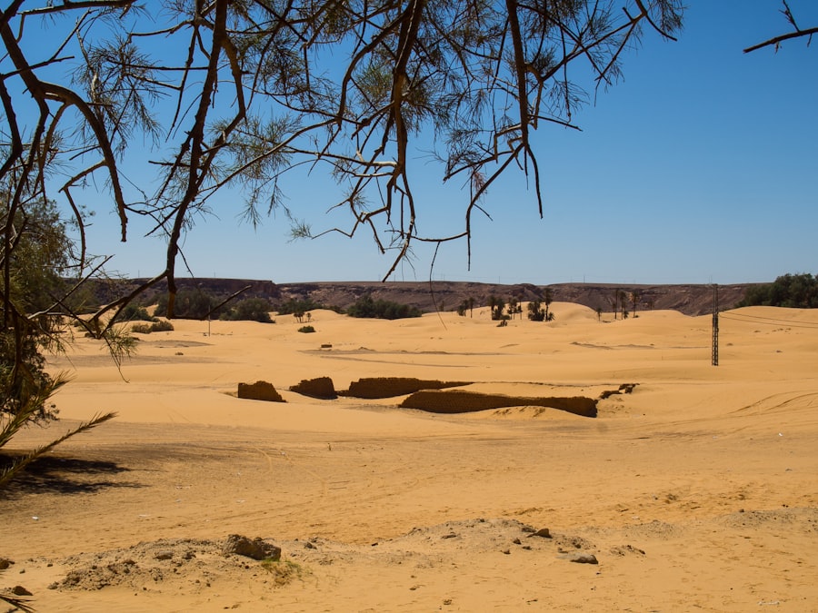 Desertification