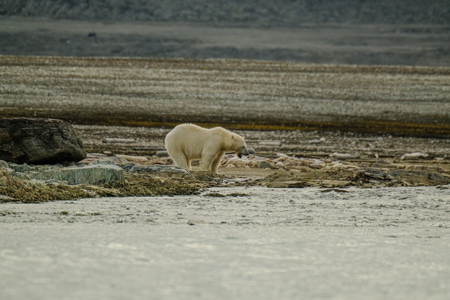climate change lessons