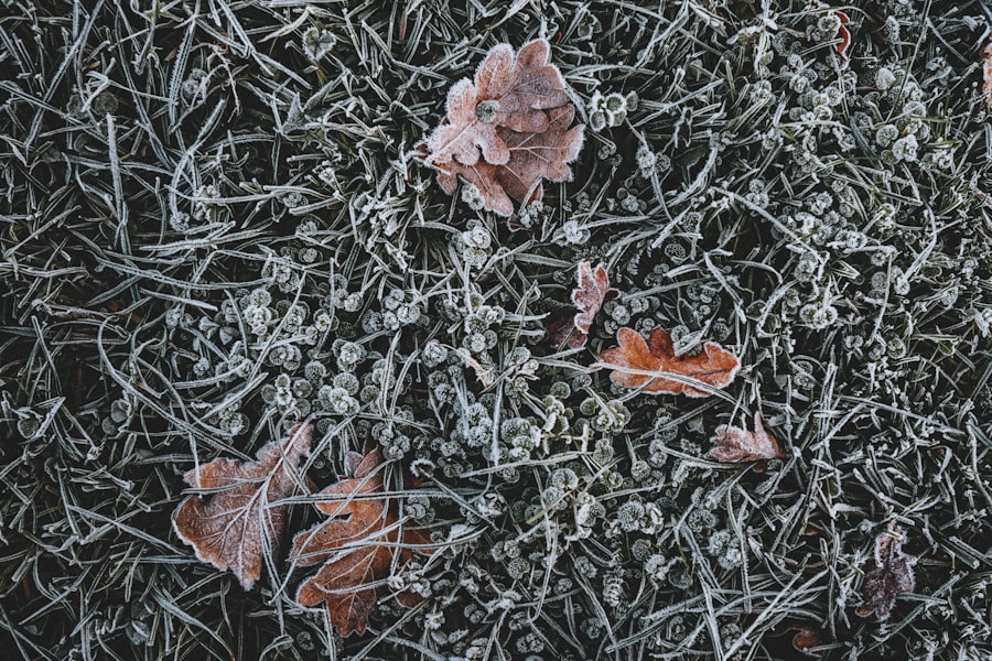 Fragmentation