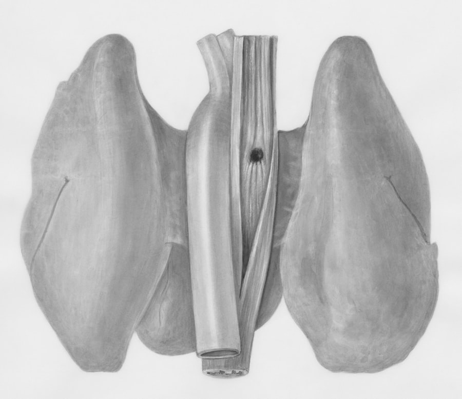 wootz steel damascus blade analysis
