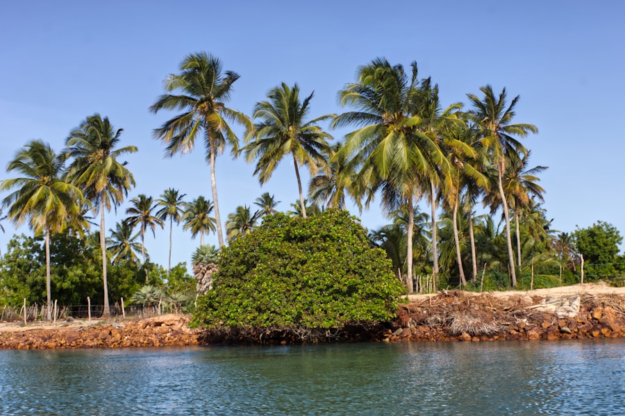 Island Developing States