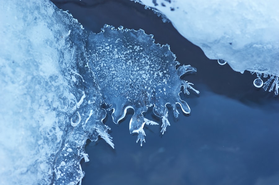 asset freezing powers
