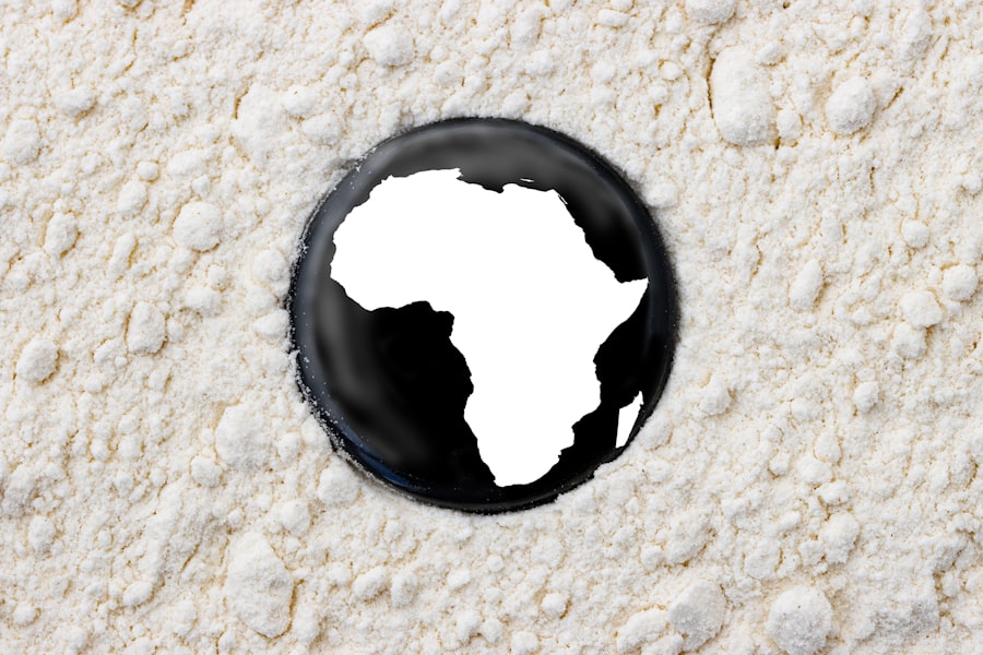 Photo Sub-Saharan Africa Crisis