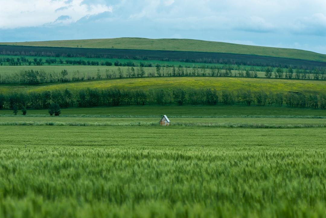 Photo farmland