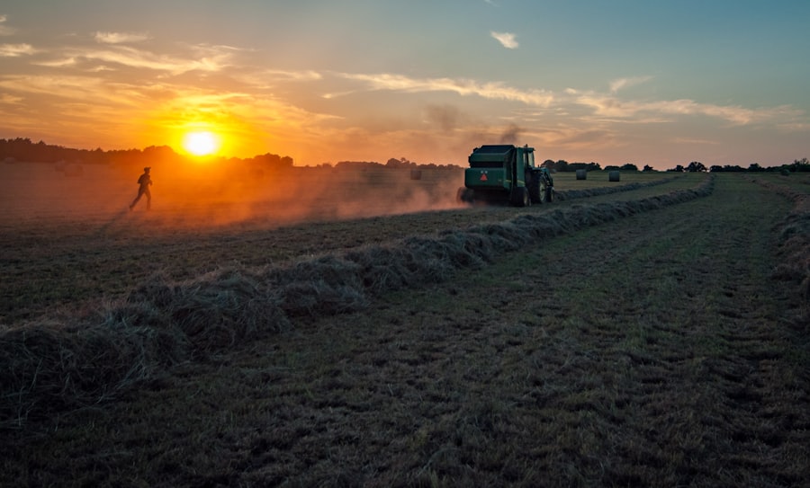 Photo farmland