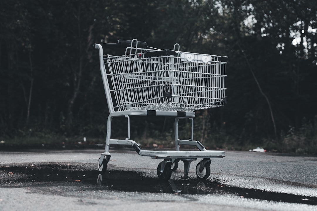 Photo economic survival