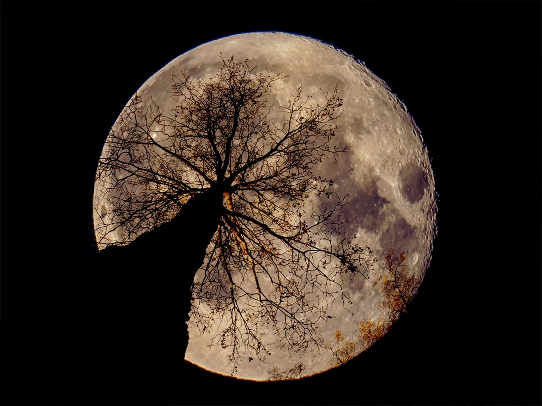 Photo sustainable lunar economy