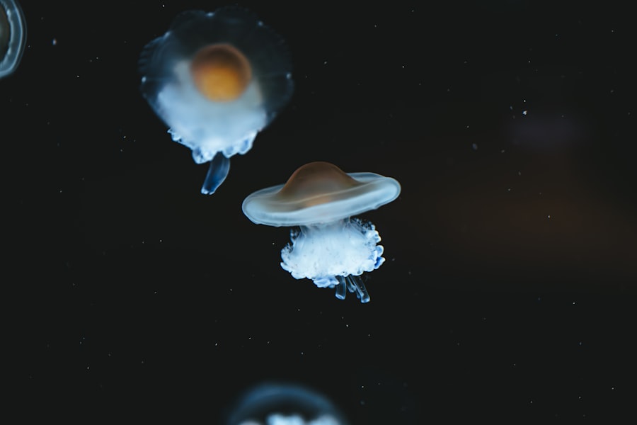 Photo peaceful space exploration