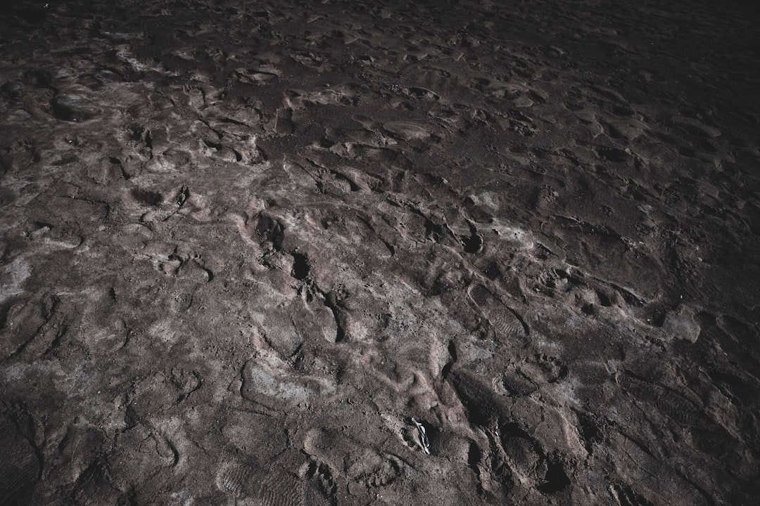 Photo lunar habitats vulnerability
