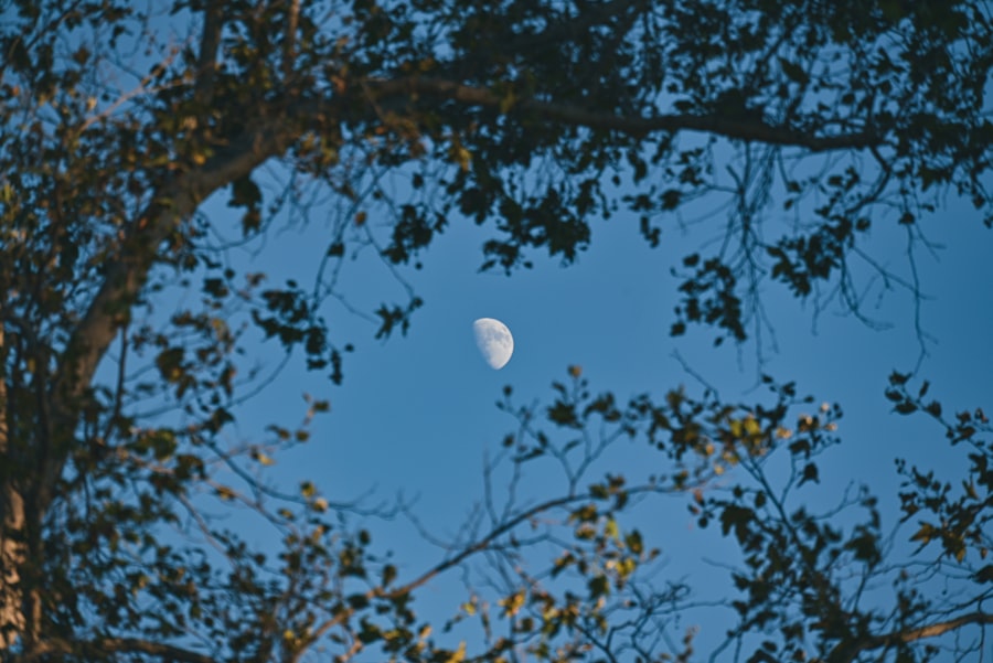 Photo moon, high ground