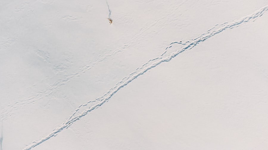 Photo Seismic profile Antarctic ice cap