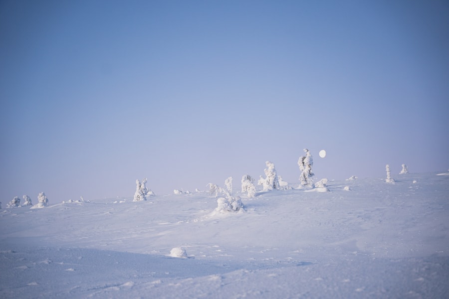 Photo pole shift Antarctica