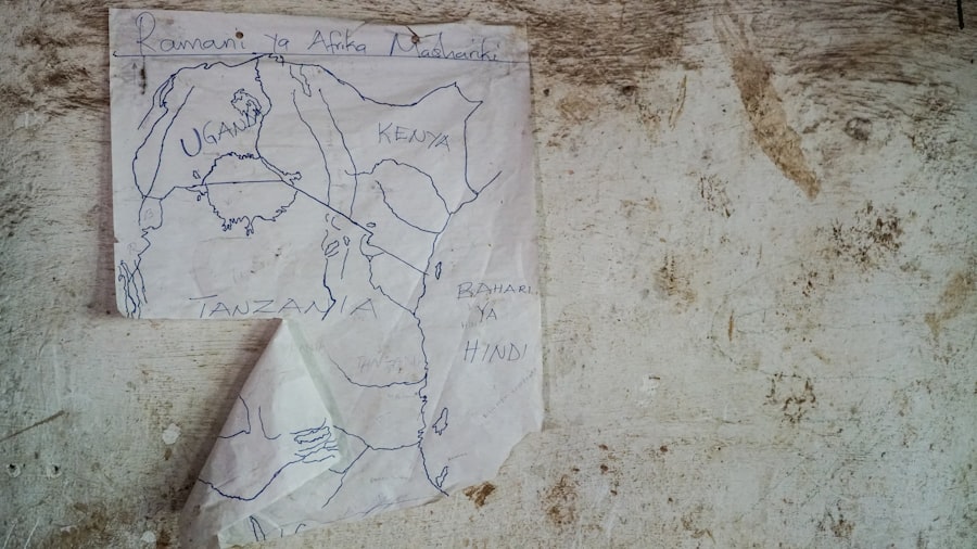 Photo Piri Reis map source documents