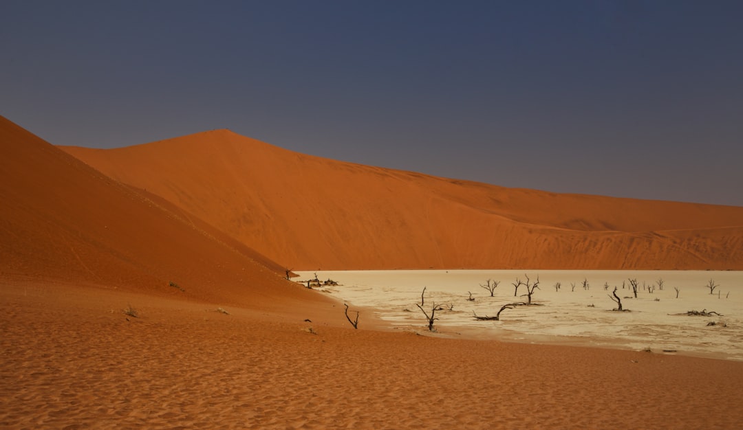 Photo Desertification