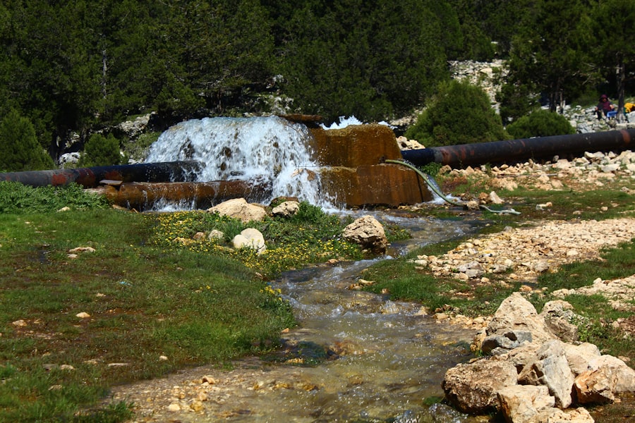 Photo water management systems