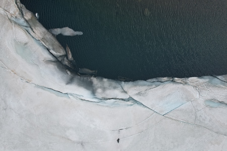 Photo climate collapse