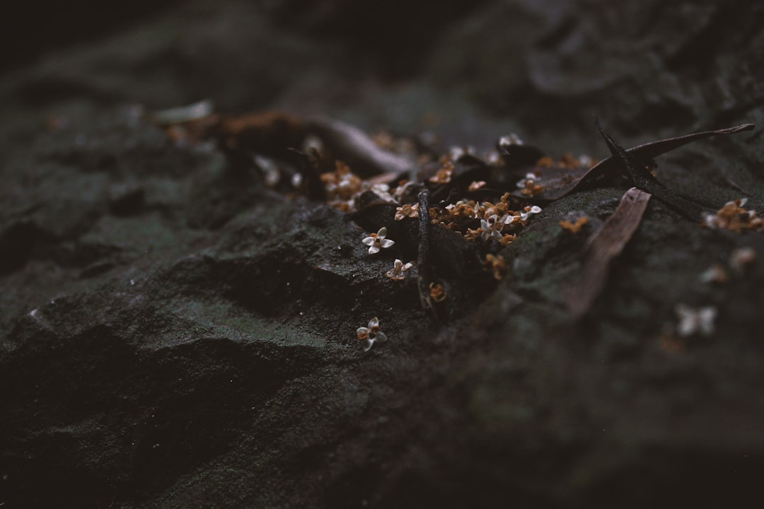 Photo bronze age collapse