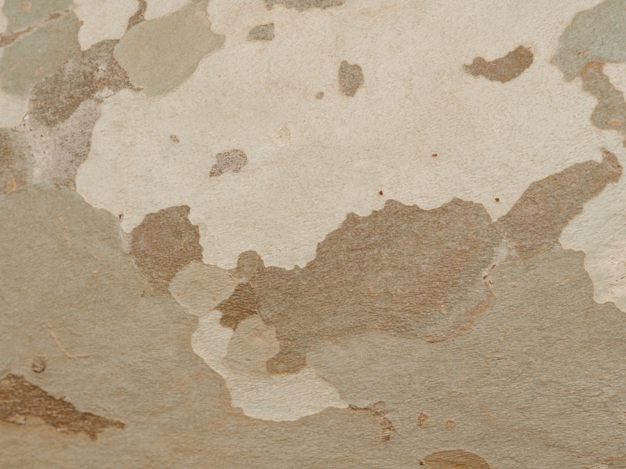Photo World Map Changes