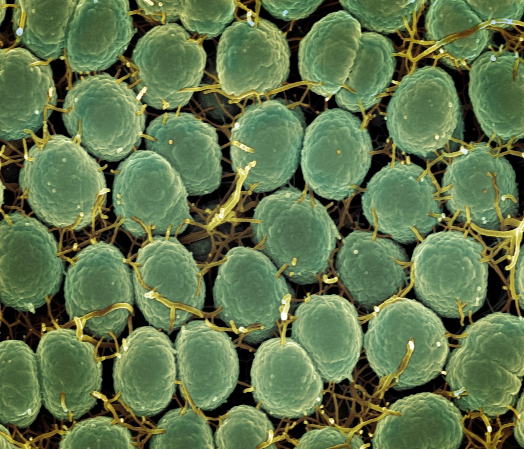 Photo microbial bloom