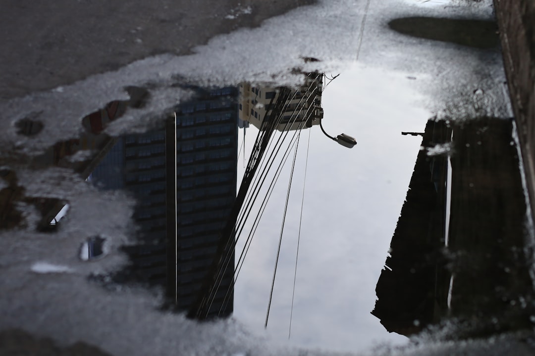 Photo State Collapse