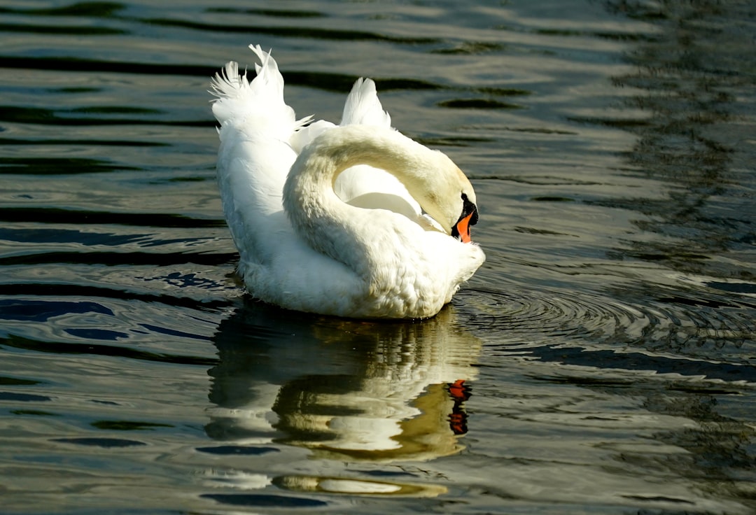 Photo china captured midstream