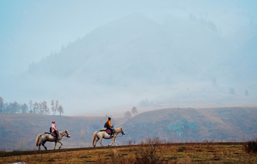 Photo Territories