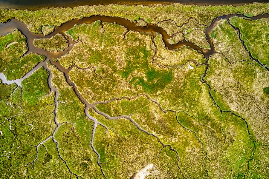 braided river history concept