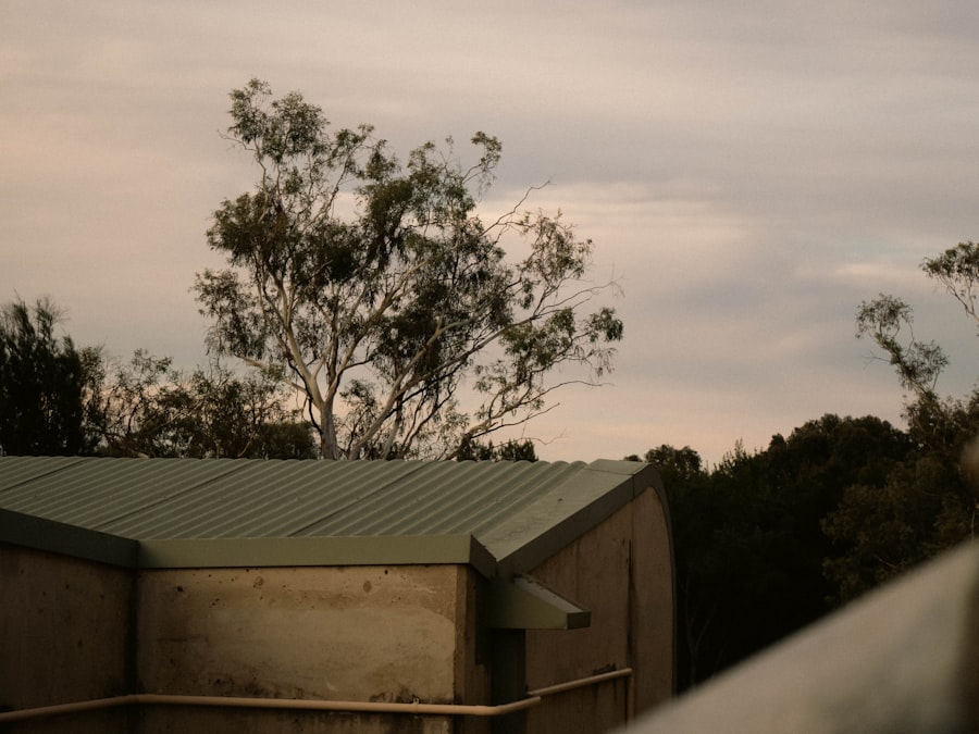 cost of living crisis Australia documentary