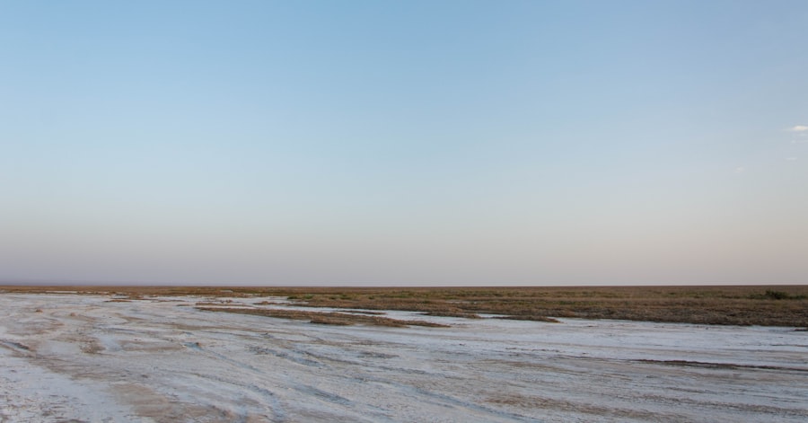 Aral Sea