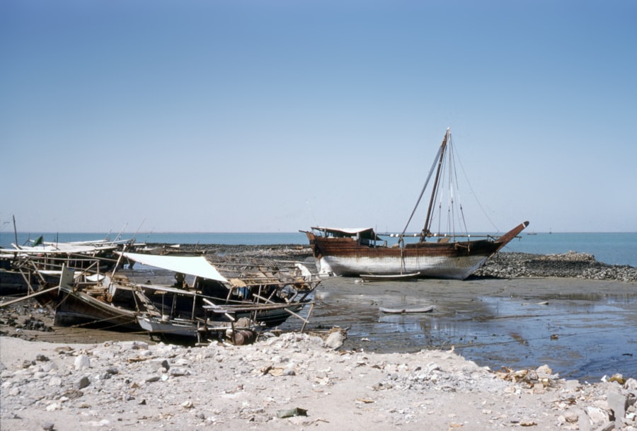 aral sea disaster
