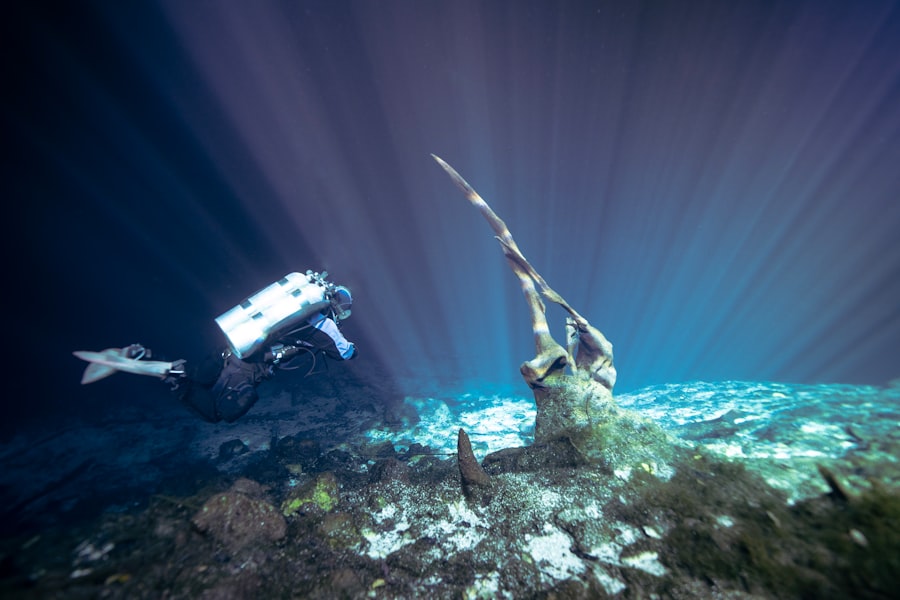 Photo shipwreck discoveries