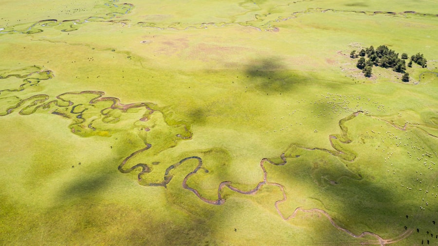 Photo piri reis map synthesis