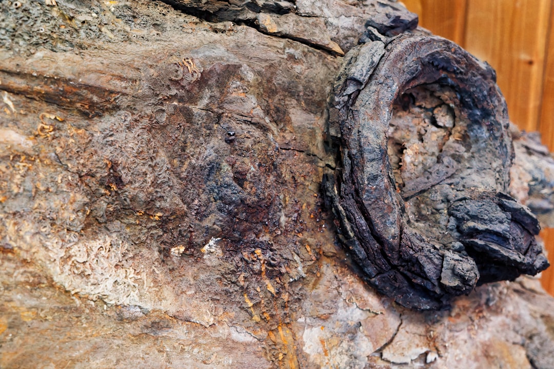 Photo archaeological discoveries