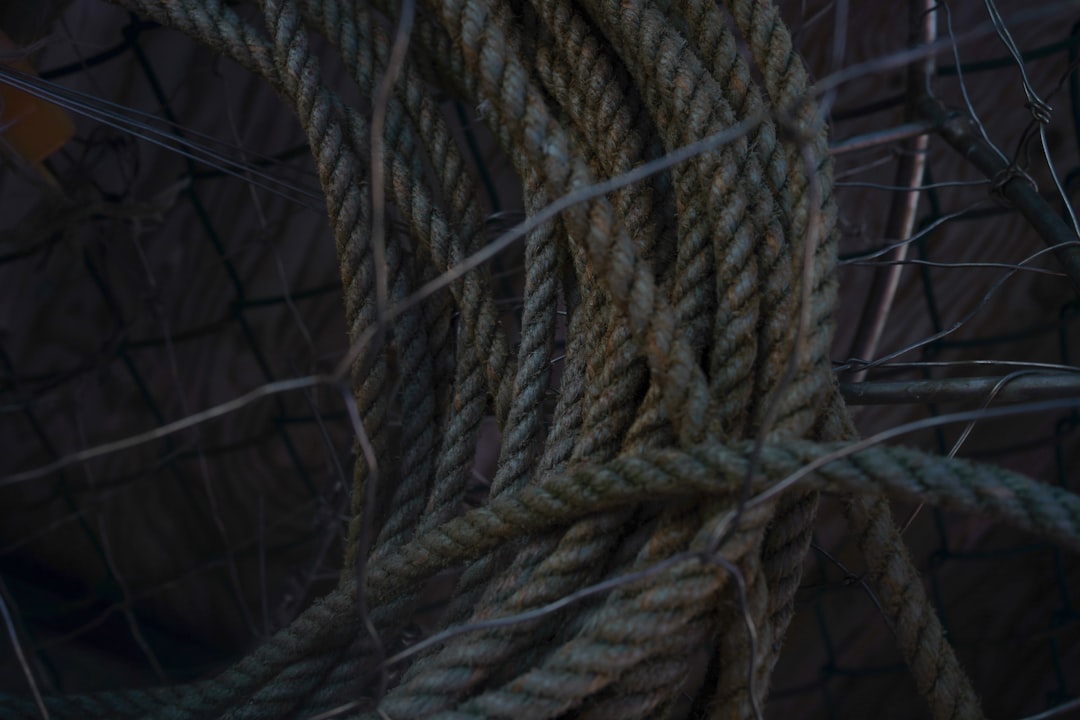 Photo Archimedes claw ship killer