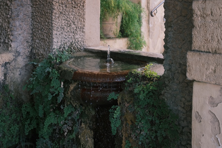 Photo poisoned wells