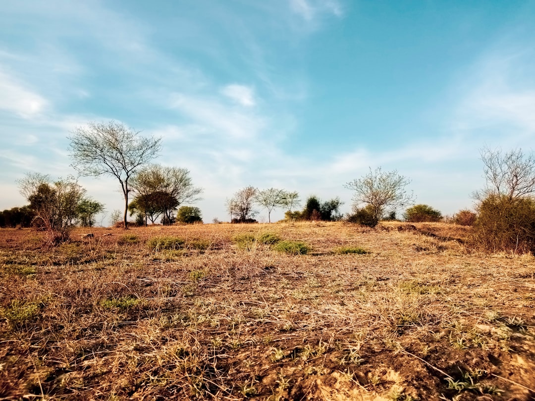 Photo taxing vacant land