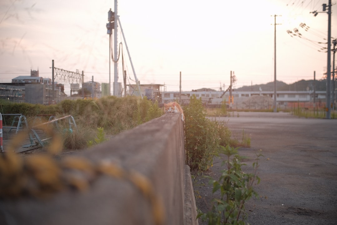 Photo economic documentary