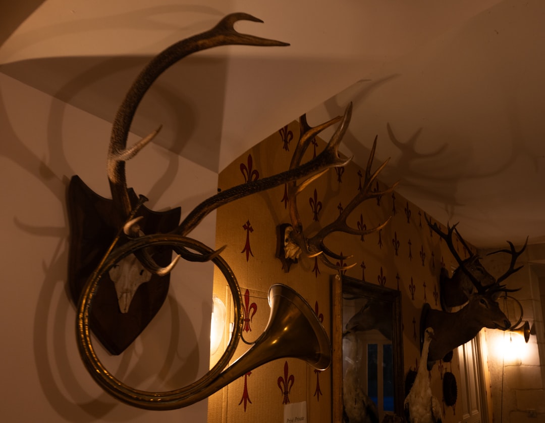 Photo viking horned helmets