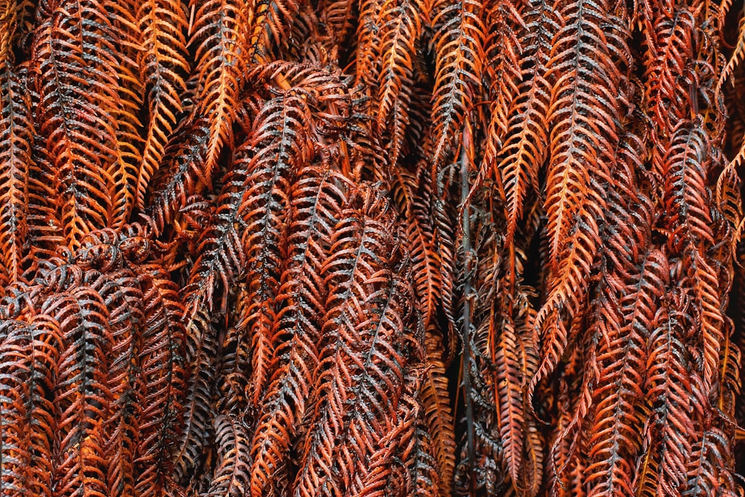 Photo copper supply crisis