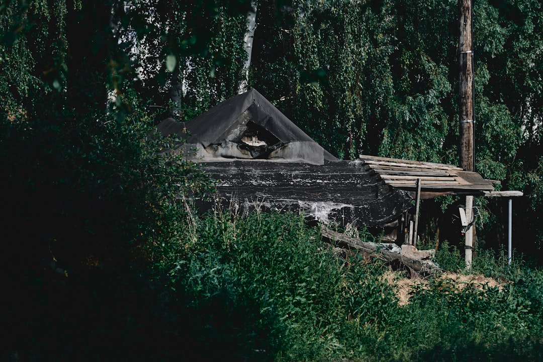 Photo clearinghouses