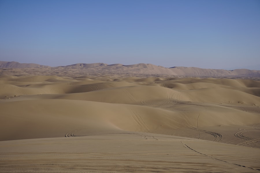 desert civilizations