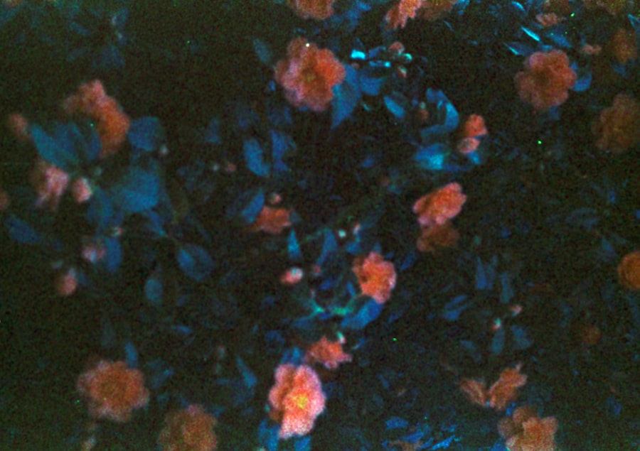 antikythera mechanism color descriptions