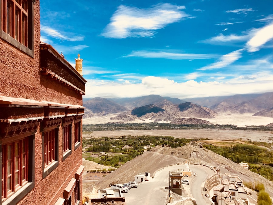 indus valley urbanism