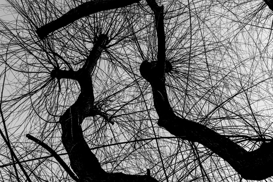 tensor networks entanglement