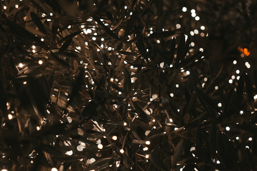 clustering amplitude